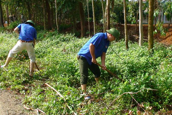 (Hình ảnh)  Đoàn viên thanh niên Chi đoàn thực hiện chiến dịch Hè tình nguyện năm 2016 (Hoạt động tháng 6)