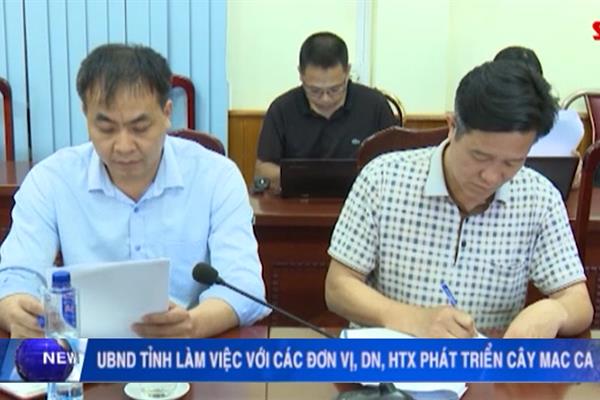 UBND tỉnh Sơn La làm việc với các đơn vị phát triển cây Macadamia