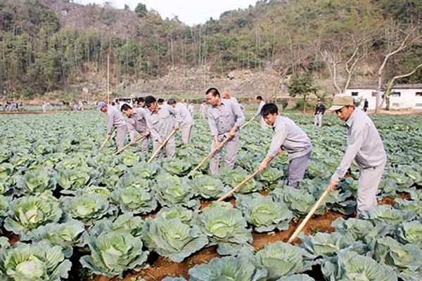 Cơ sở điều trị nghiện ma túy tỉnh Giúp học viên tái hòa nhập cộng đồng
