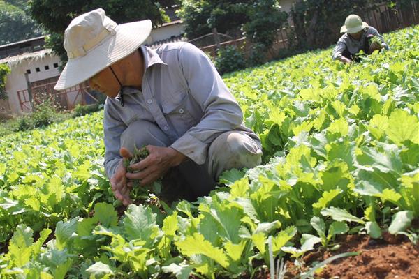 Khắc phục khó khăn để cai nghiện ma túy cho người dân tộc thiểu số
