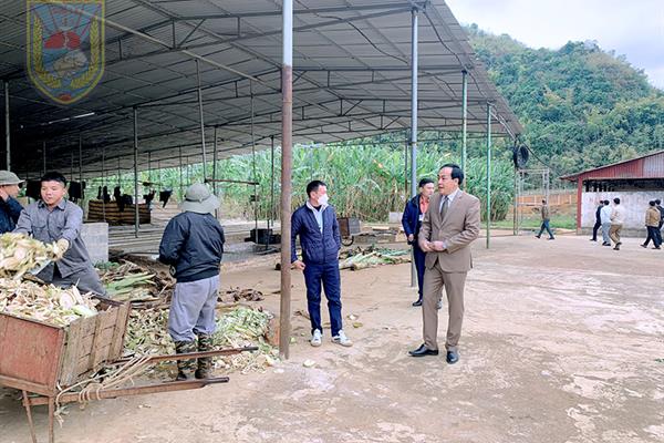 Cơ sở Điều trị nghiện ma túy tỉnh tổ chức ra quân đầu năm 2023