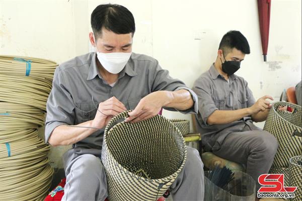 Lao động trị liệu đối với người cai nghiện ma túy
